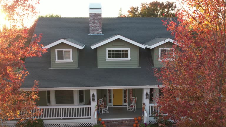 Best Roof Moss and Algae Removal  in South Greeley, WY